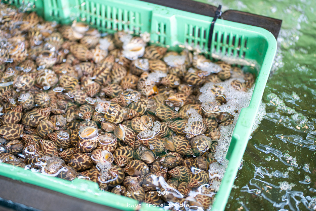 後壁湖生魚片推薦-阿興生魚片-後壁湖海鮮推薦-後壁湖海鮮餐廳-恆春海鮮餐廳推薦 (11 - 42).jpg