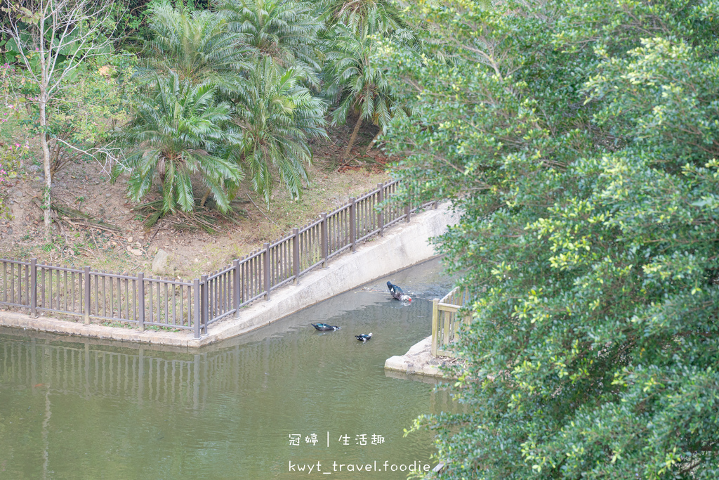 苗栗頭份家具推薦-美居家具館旗艦店-苗栗頭份沙發床墊推薦-苗栗頭份沙發床墊工廠推薦 (50 - 89).jpg 苗栗頭份家具推薦-美居家具館旗艦店-苗栗頭份沙發床墊推薦-苗栗頭份沙發床墊工廠推薦 (50 - 89).jpg