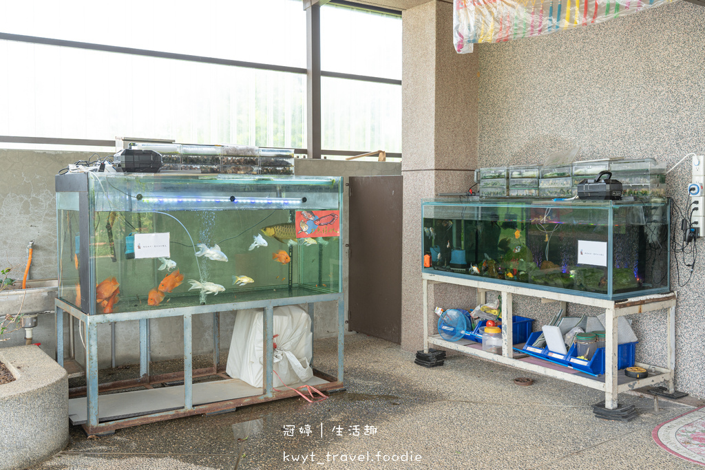 永安漁港周邊美食餐廳推薦-忻林園區簡餐咖啡館-桃園新屋咖啡廳推薦-桃園寵物友善餐廳推薦-桃園景觀餐廳推薦-22.jpg