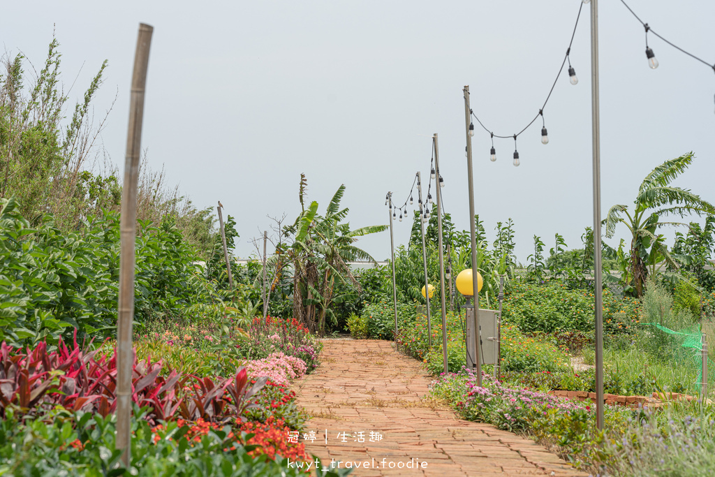 永安漁港周邊美食餐廳推薦-忻林園區簡餐咖啡館-桃園新屋咖啡廳推薦-桃園寵物友善餐廳推薦-桃園景觀餐廳推薦-6.jpg