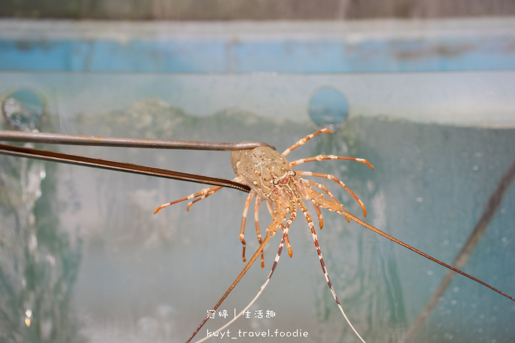 新北萬里野柳美食餐廳推薦-野柳望海亭海鮮餐廳-萬里海鮮餐廳推薦-北海岸海鮮餐廳推薦-4.jpg