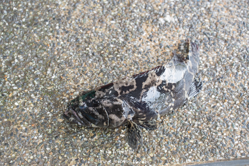 新北萬里野柳美食餐廳推薦-野柳望海亭海鮮餐廳-萬里海鮮餐廳推薦-北海岸海鮮餐廳推薦-6.jpg