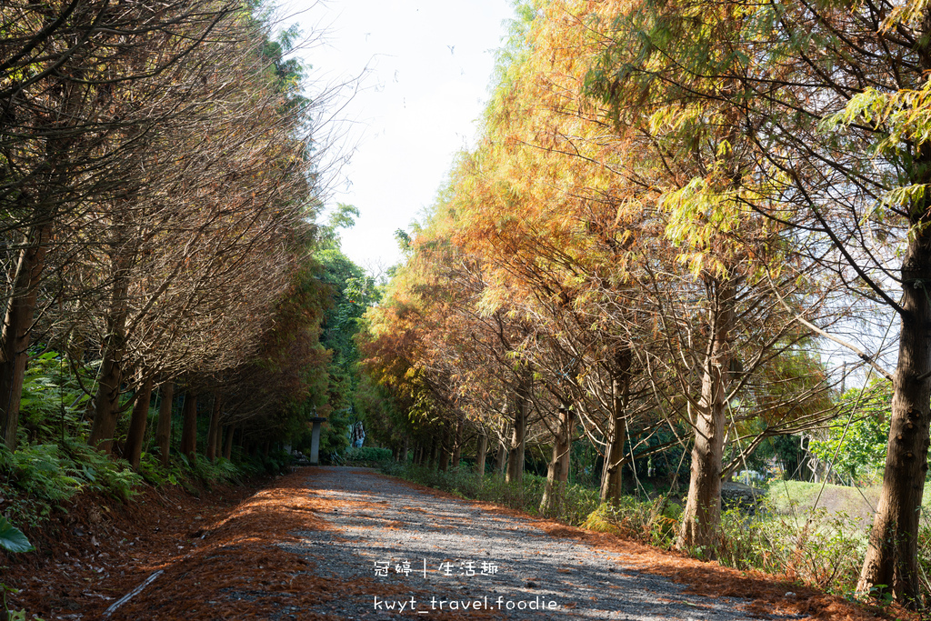 三峽美食餐廳推薦-鳶山紅樓-三峽聚餐餐廳推薦-三峽景觀餐廳推薦-三峽午餐推薦-三峽晚餐推薦-台北三峽包廂餐廳推薦-台北景觀餐廳推薦-25.jpg