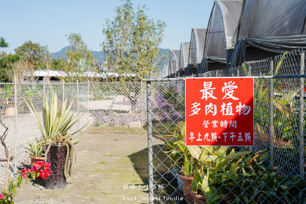 南投埔里免費景點推薦-最愛多肉植物教育農場-南投埔里多肉植物推薦-南投埔里親子景點推薦-南投埔里多肉盆栽DIY-10.jpg