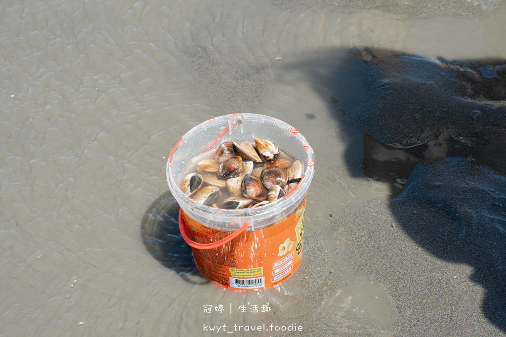 彰化親子景點_彩雲王功潮間帶之旅,200元蚵仔吃到飽,一票暢