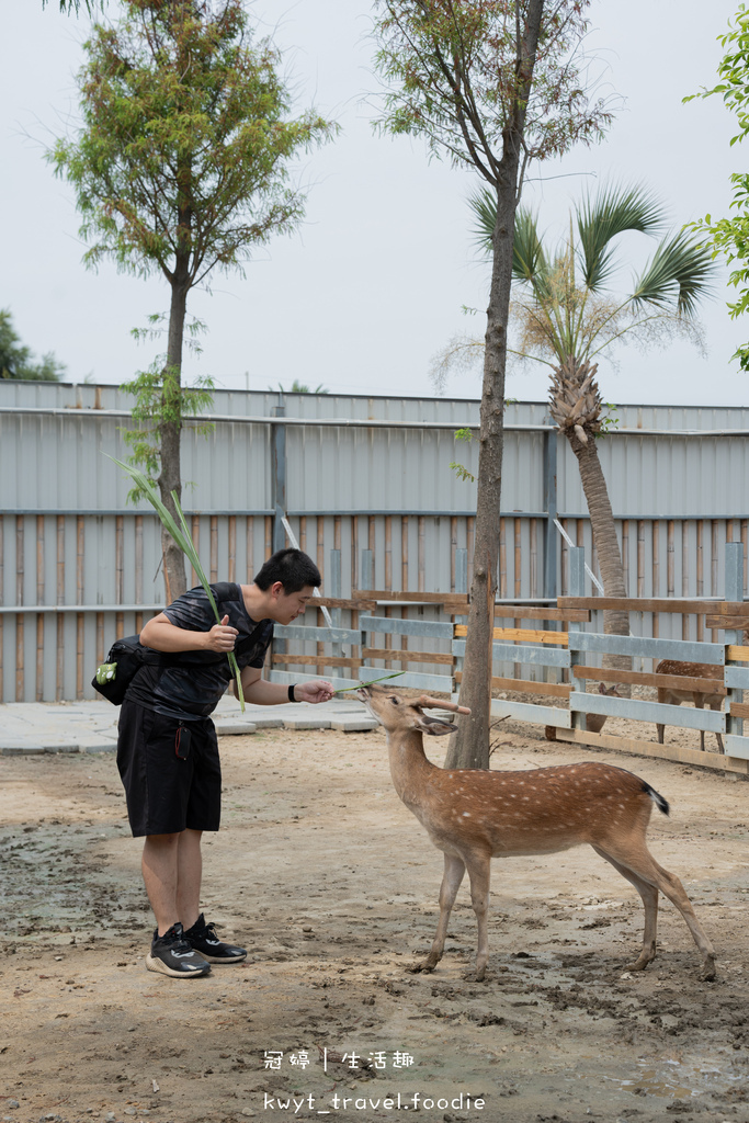 穿上MiFresa財財的手作基地，到廢物媽媽育兒農場走跳去，