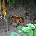 Zoo 010.jpg