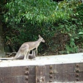 Zoo 057.jpg