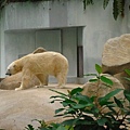 Zoo 069.jpg