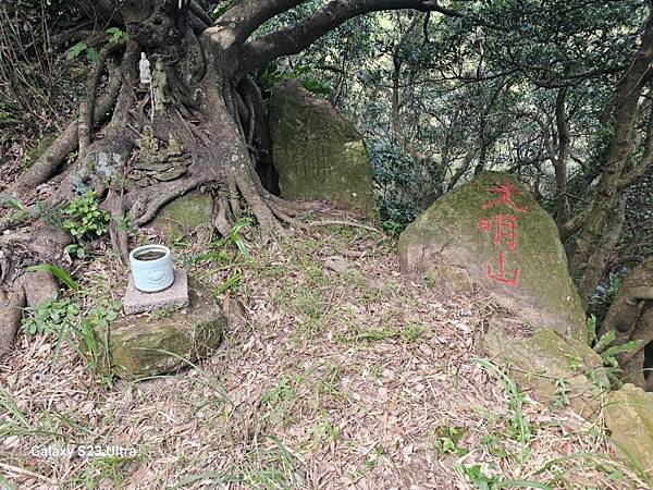 2024-02-03北鶯山、龜公山、阿四坑山、阿南坑山、彰埔