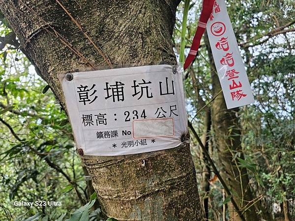 2024-02-03北鶯山、龜公山、阿四坑山、阿南坑山、彰埔