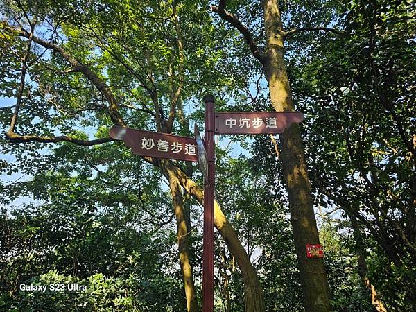 2024-02-17二坑步道、三湖步道、東福宮步道、鶯歌大湖