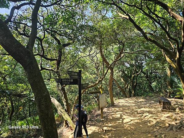 2024-02-17二坑步道、三湖步道、東福宮步道、鶯歌大湖