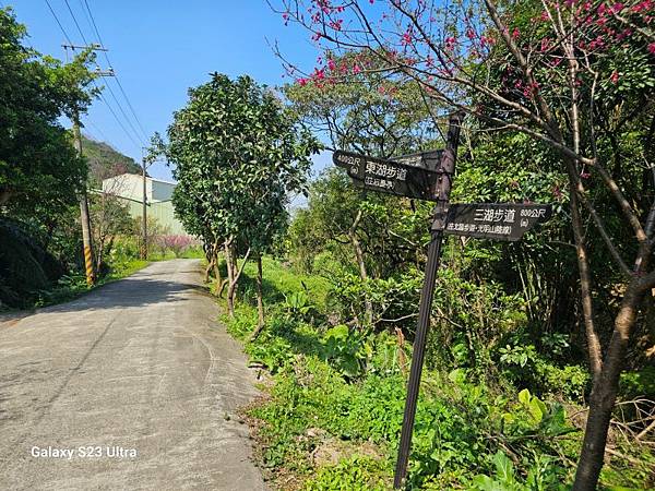 2024-02-17二坑步道、三湖步道、東福宮步道、鶯歌大湖