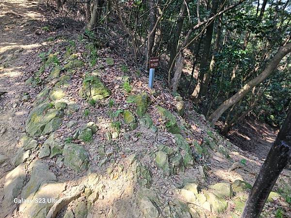 2024-02-17二坑步道、三湖步道、東福宮步道、鶯歌大湖