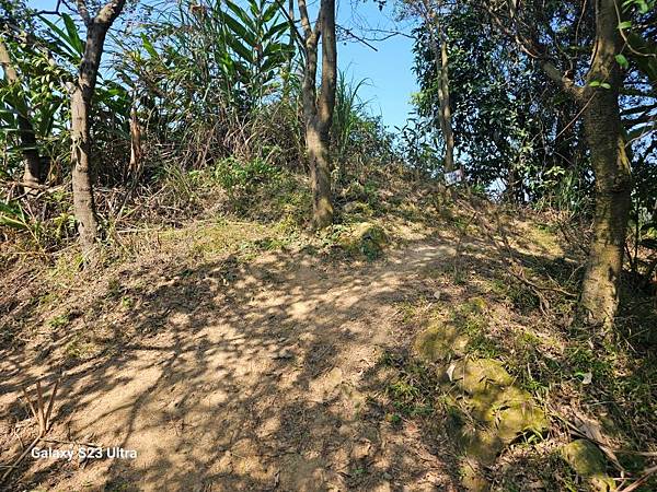 2024-02-17二坑步道、三湖步道、東福宮步道、鶯歌大湖