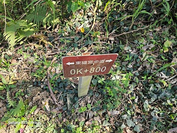 2024-02-17二坑步道、三湖步道、東福宮步道、鶯歌大湖