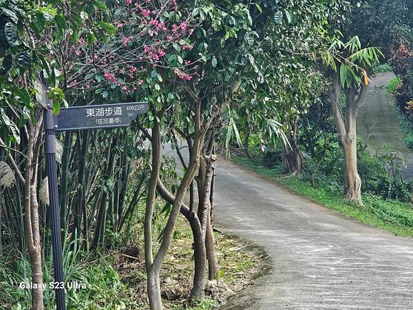 2024-02-17二坑步道、三湖步道、東福宮步道、鶯歌大湖