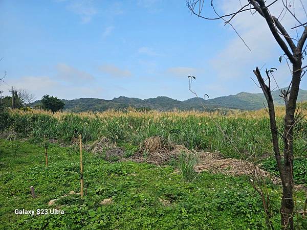 2024-02-17二坑步道、三湖步道、東福宮步道、鶯歌大湖