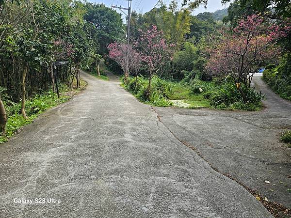 2024-02-17二坑步道、三湖步道、東福宮步道、鶯歌大湖
