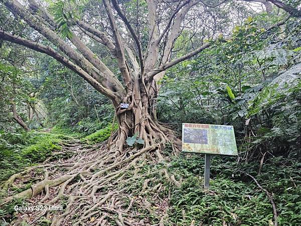 2024-02-17二坑步道、三湖步道、東福宮步道、鶯歌大湖