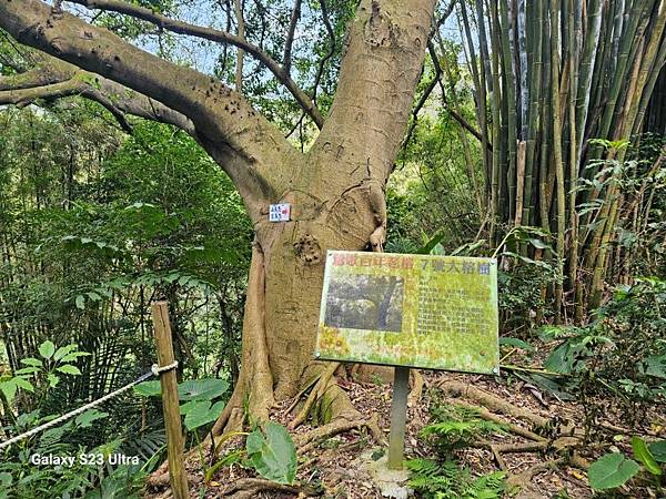 2024-02-17二坑步道、三湖步道、東福宮步道、鶯歌大湖