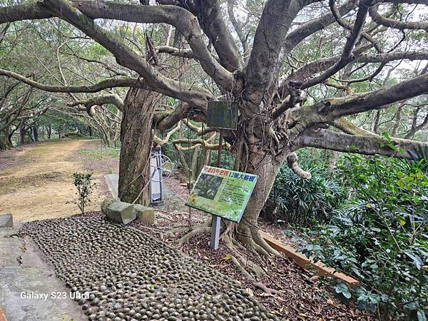 2024-02-17二坑步道、三湖步道、東福宮步道、鶯歌大湖