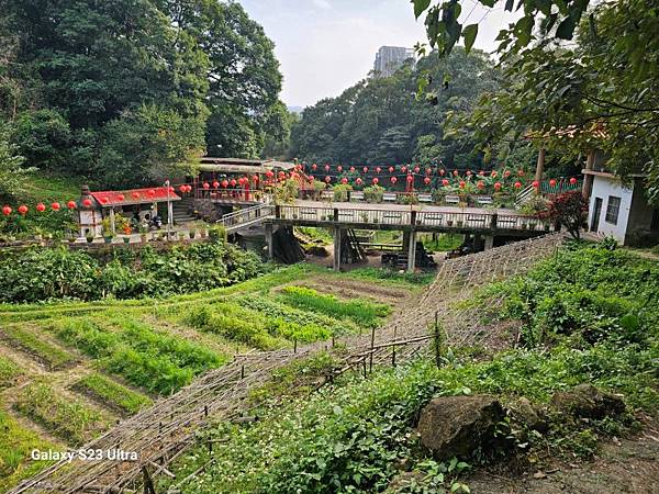 2024-02-17二坑步道、三湖步道、東福宮步道、鶯歌大湖
