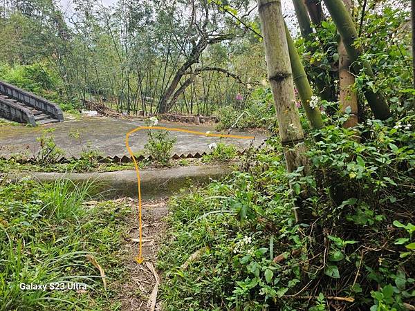 2024-03-03小金面山、西湖山、劍潭山北峰(1356)