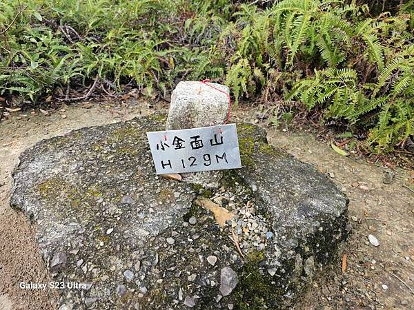 2024-03-03小金面山、西湖山、劍潭山北峰(1356)