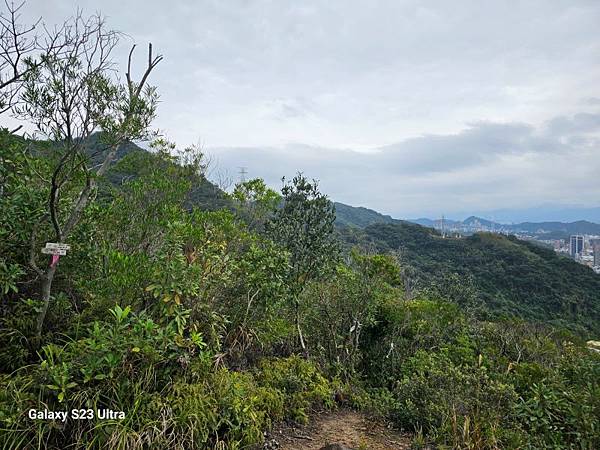 2024-03-03小金面山、西湖山、劍潭山北峰(1356)