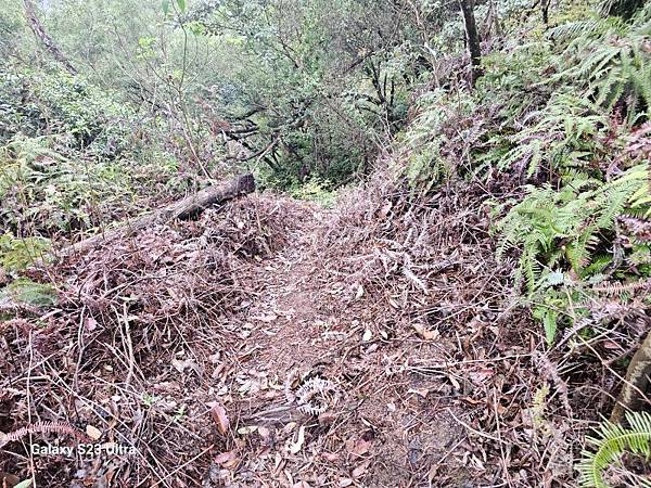 2024-03-03小金面山、西湖山、劍潭山北峰(1356)