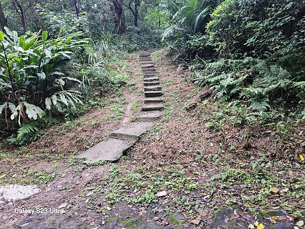 2024-03-03小金面山、西湖山、劍潭山北峰(1356)