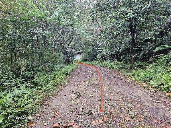 2024-03-03小金面山、西湖山、劍潭山北峰(1356)