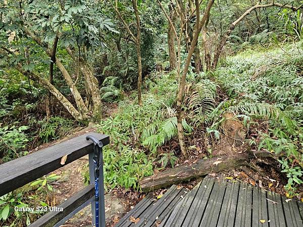 2024-03-03小金面山、西湖山、劍潭山北峰(1356)