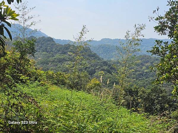 2024-03-20昇高坑瀑布連走昇高坑山、筆架山、炙子頭山