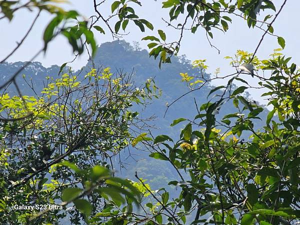 2024-03-20昇高坑瀑布連走昇高坑山、筆架山、炙子頭山