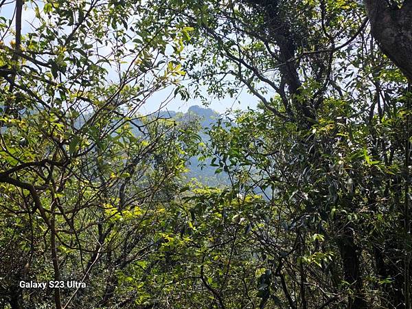 2024-03-20昇高坑瀑布連走昇高坑山、筆架山、炙子頭山