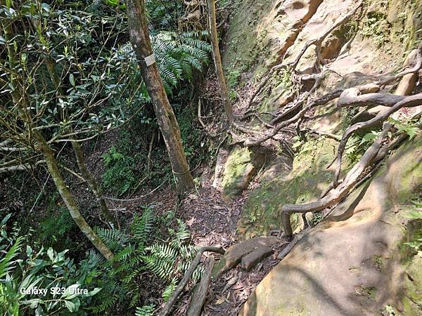 2024-03-20昇高坑瀑布連走昇高坑山、筆架山、炙子頭山