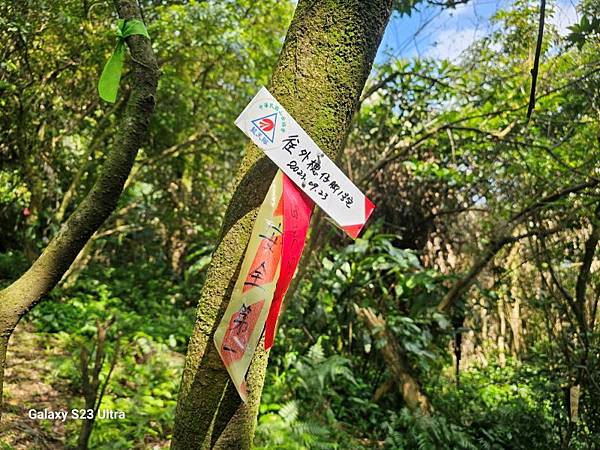 2024-03-20昇高坑瀑布連走昇高坑山、筆架山、炙子頭山