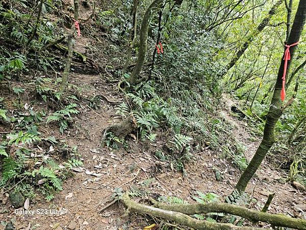 2024-03-24烏塗窟古道、烏塗窟庄、周館長上學路