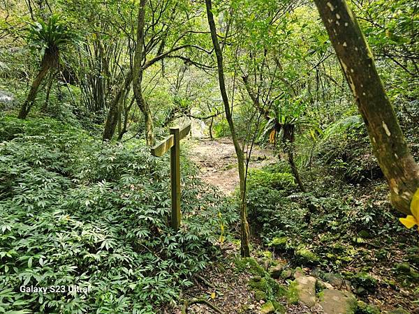 2024-03-24烏塗窟古道、烏塗窟庄、周館長上學路