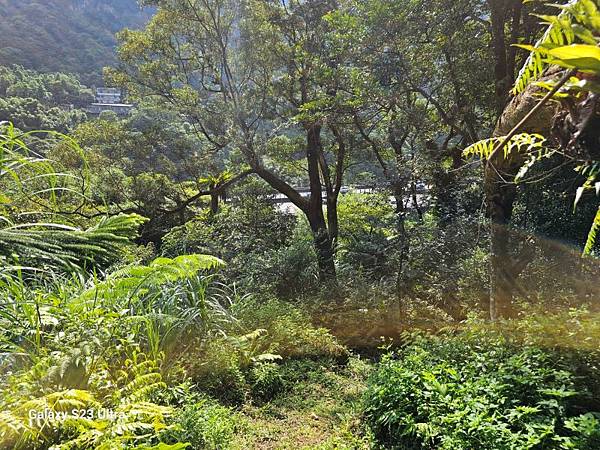 2024-06-30冷飯坑山東南峰、冷飯坑聚落