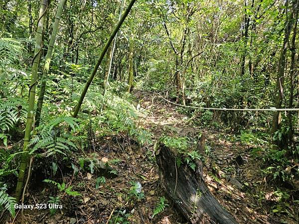 2024-06-30冷飯坑山東南峰、冷飯坑聚落