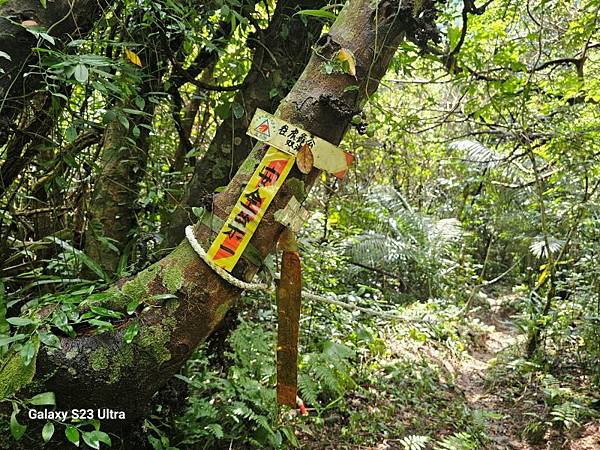 2024-06-30冷飯坑山東南峰、冷飯坑聚落