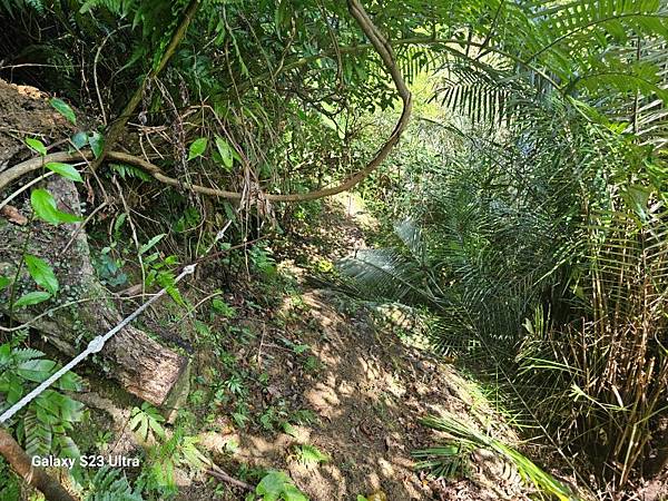 2024-06-30冷飯坑山東南峰、冷飯坑聚落