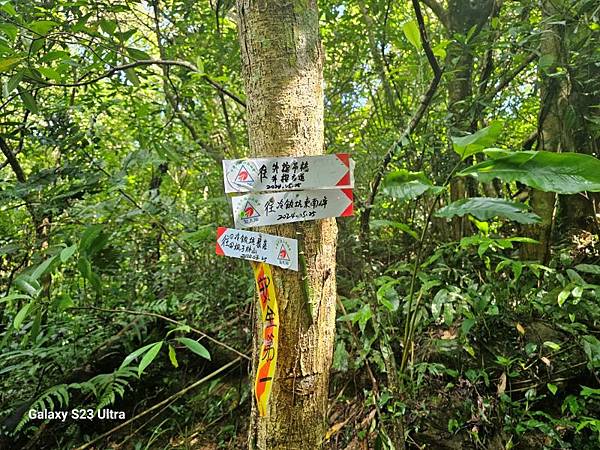 2024-06-30冷飯坑山東南峰、冷飯坑聚落
