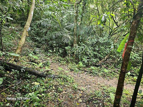 2024-06-30冷飯坑山東南峰、冷飯坑聚落