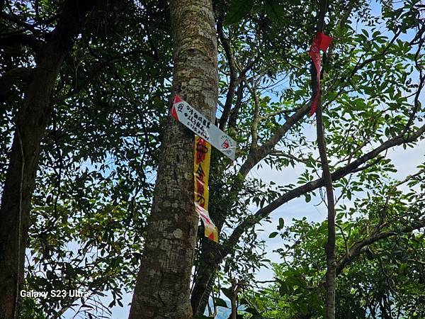 2024-06-30冷飯坑山東南峰、冷飯坑聚落