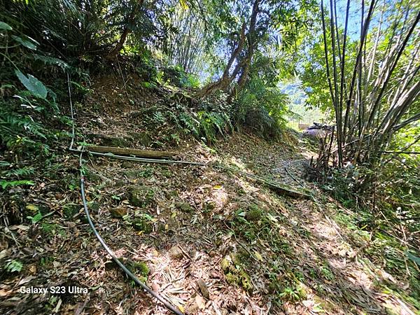 2024-08-03松仔嶺古道、石笋尖東南峰、石笋古道O走( 2024-08-03松仔嶺古道、石笋尖東南峰、石笋古道O走(